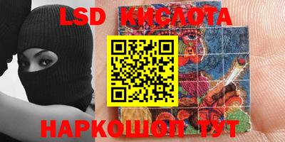 дмт Славгород