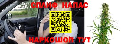 прущие грибы Сланцы
