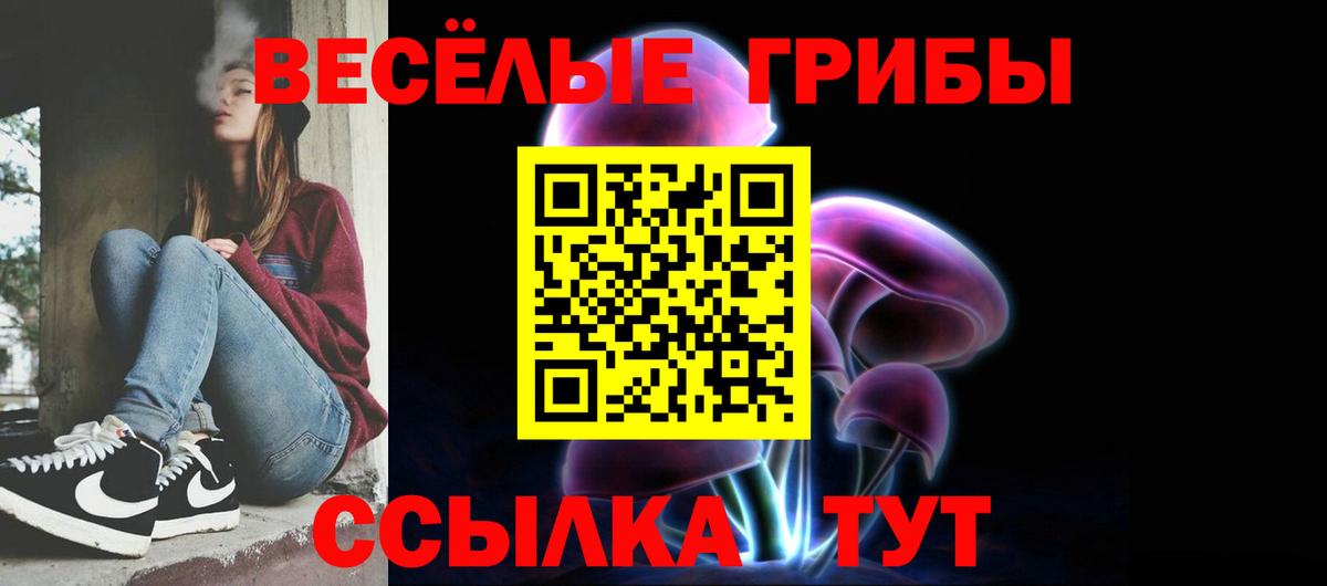 Анжеро-Судженск  Галлюциногенные грибы мухоморы  Галлюциногенные грибы Cubensis  Вход с VPN 